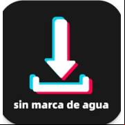 Tiktok Sin Marca De Agua Apk 1.41.0 Ultima Version